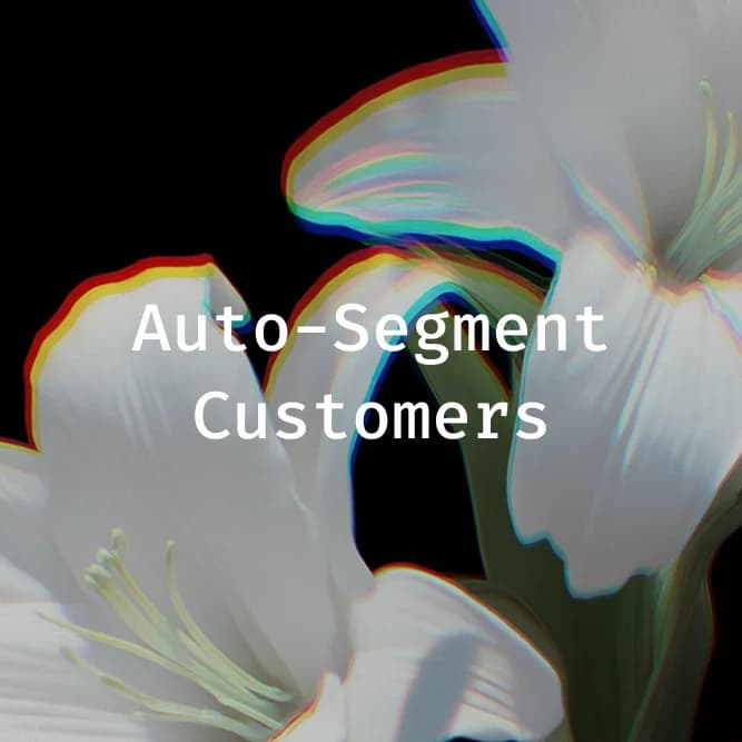 Auto-segment customers