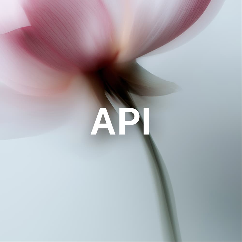 Extend via API